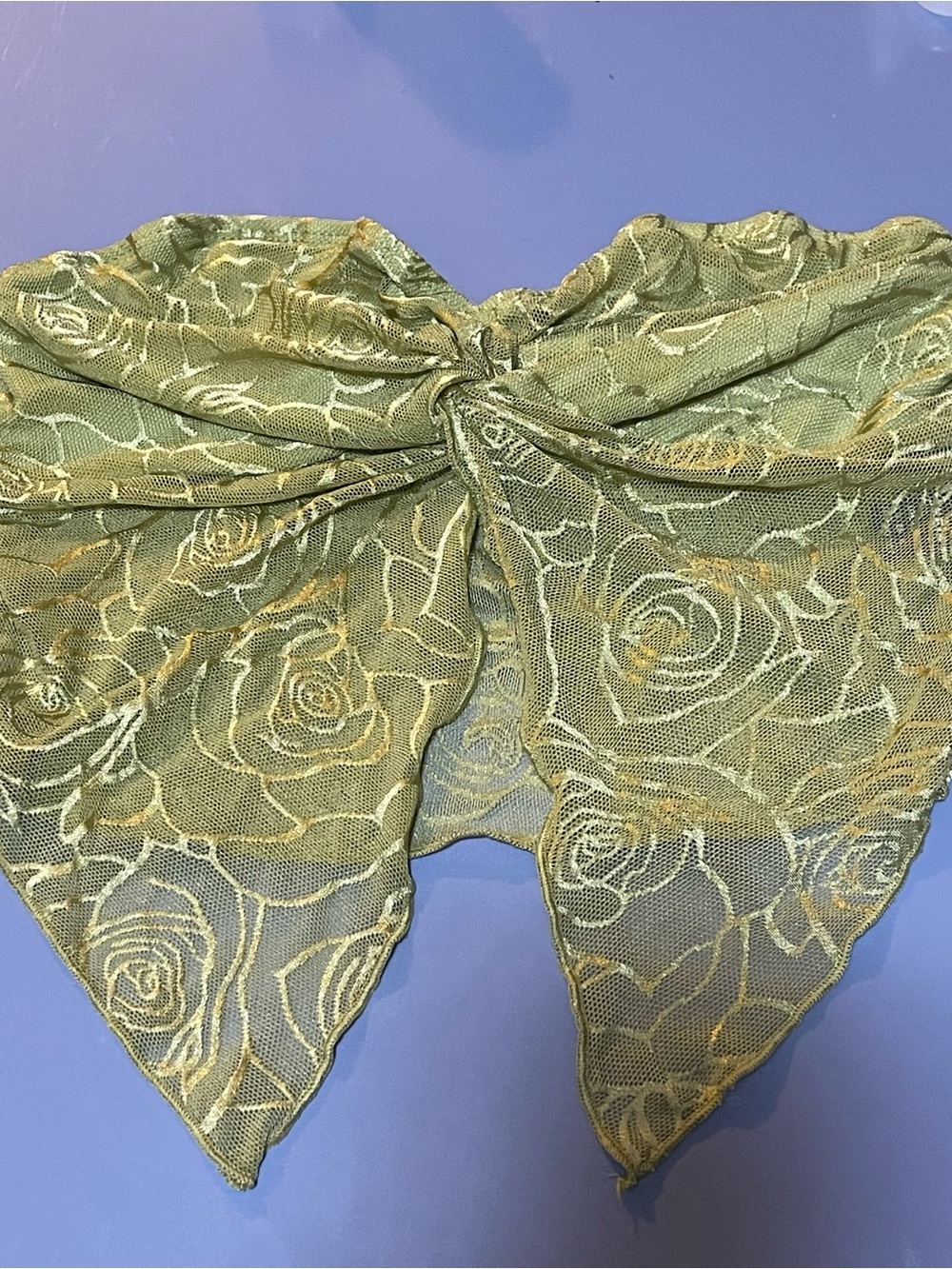 Green Lace Floral Crop Top / Bandeau
